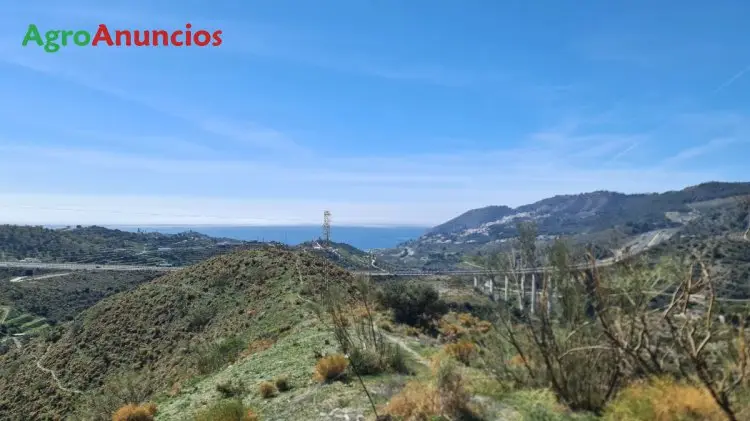 Venta  de Finca rústica en Granada