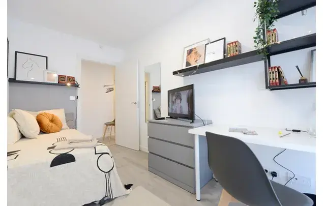 Alquiler Apartamento 4 Dormitorios Bilbao Basurto