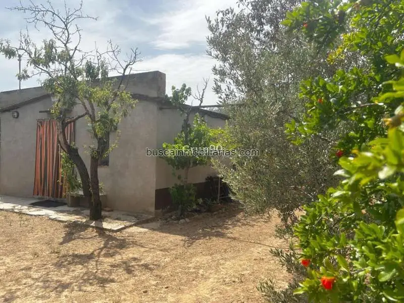 Parcela en Venta en Torres de Segre Finca Rústica en Utxesa