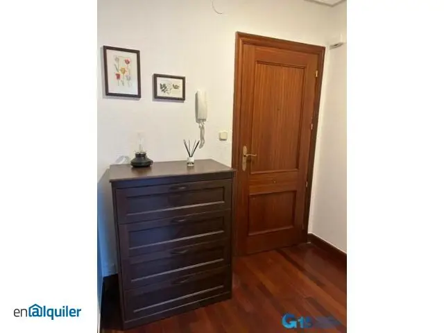 Alquiler piso amueblado Centro - miraconcha