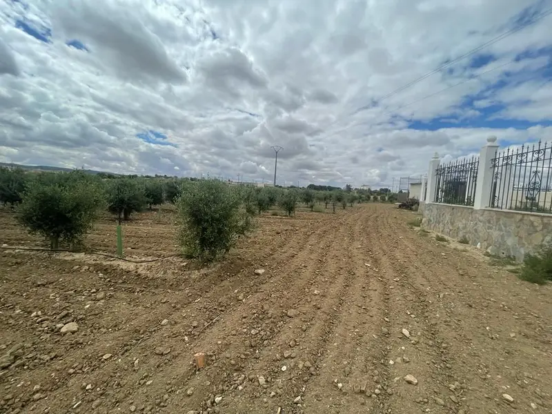 Venta Chalet con Garaje y Piscina en Mora Toledo