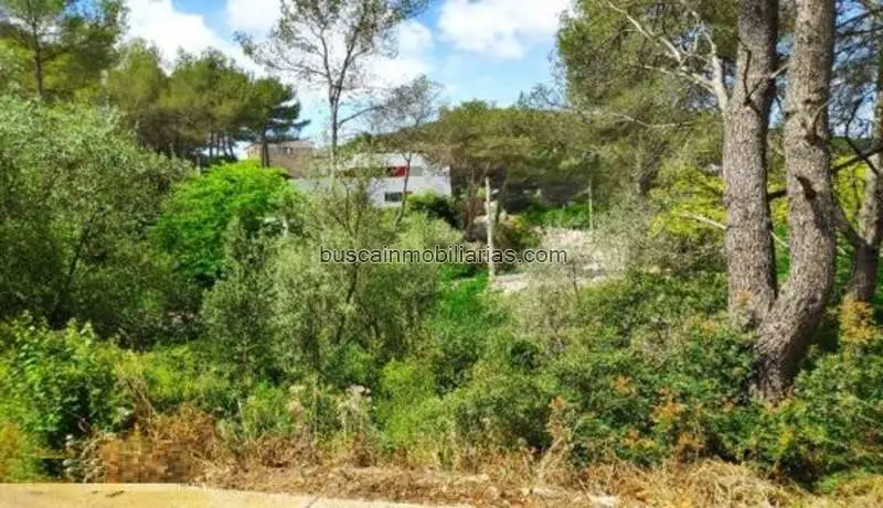Parcela Urbana en Venta Olivella -  Casa Unifamiliar