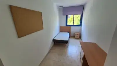 Alquiler Piso Estudiantes UJI Castellon 3 Habitaciones Garaje