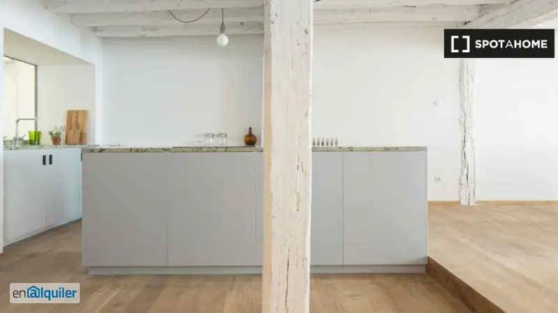 Apartamento Amueblado Bilbao 2 Dormitorios Terraza
