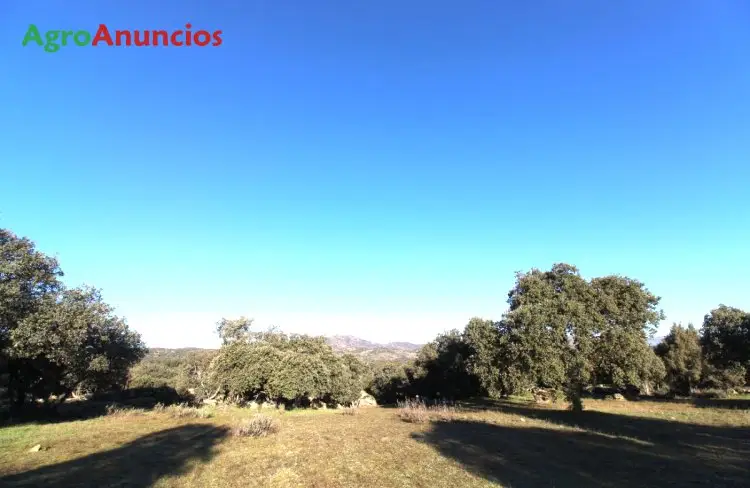 Venta  de Finca de caza menor en Madrid
