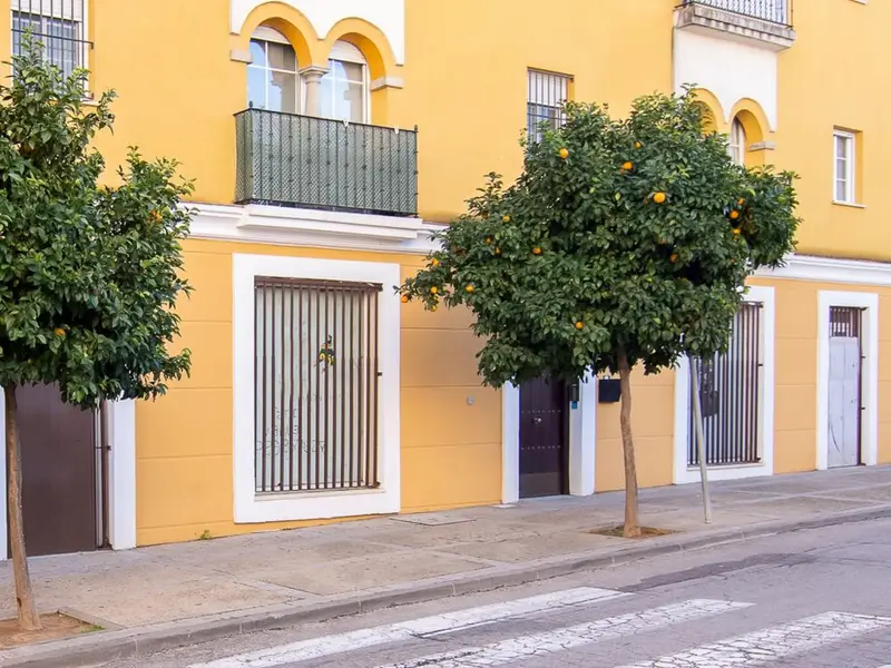 Local 65m2 Jerez de la Frontera Calle Armas de Santiago