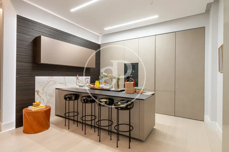 Casa Palacio Rehabilitada Barrio Salamanca Lujo 12 Piezas