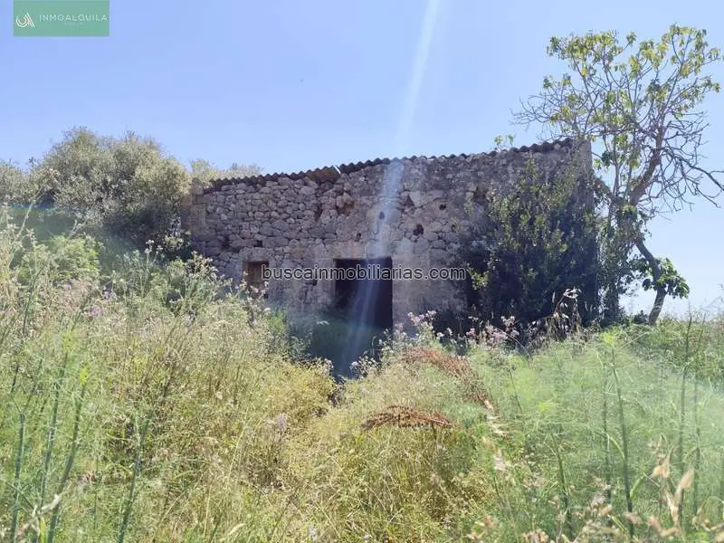 Parcela Rustica en Venta Maria de la Salut 5000m2