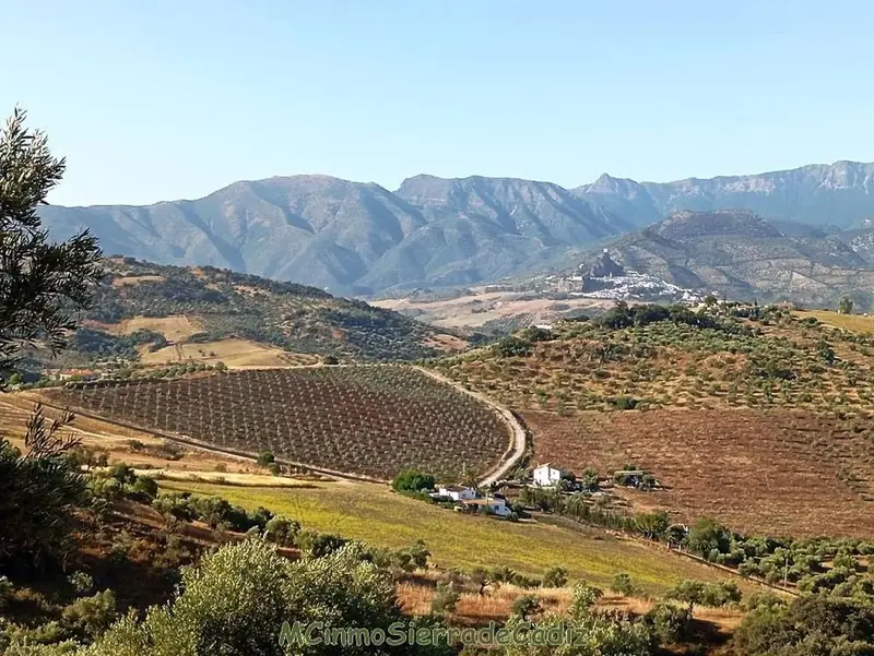 Venta Finca con vistas en Dehesa Vieja Algodonales