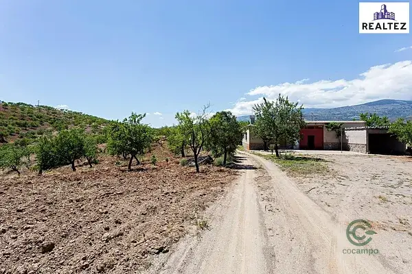 Venta Cortijo Almendros Ecologicos 256m2