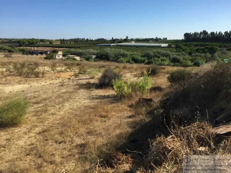 Venta Finca Rustica Cartaya 17000m2