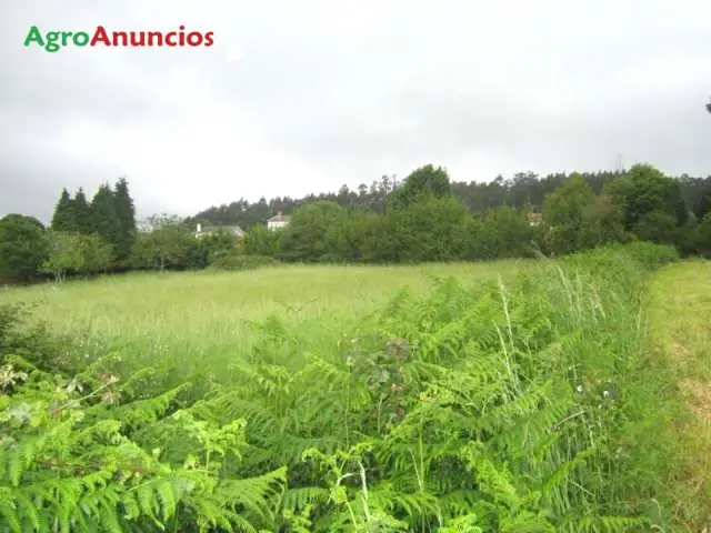 Venta  de Terreno no urbanizable en A Coruña