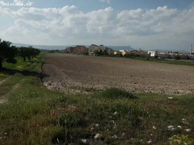 Terreno Rural en Venta Almansa Albacete