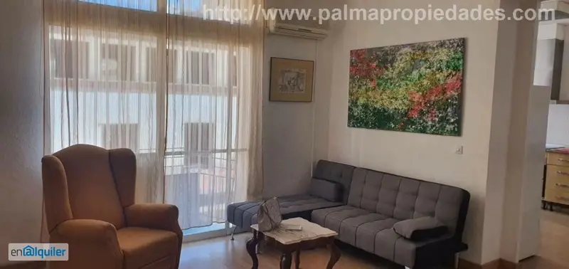 Alquiler Piso 1 Habitacion Palma Centro Zona Borne