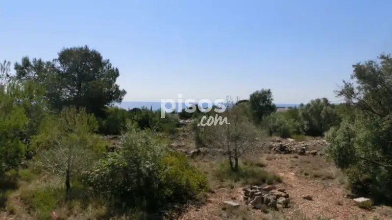 Finca rústica en venta en Alcanar Playa