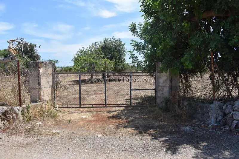 Parcelas Rusticas en Venta en Muro Mallorca