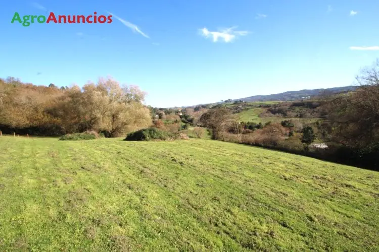 Venta  de Terreno para vivienda unifamiliar en Cantabria