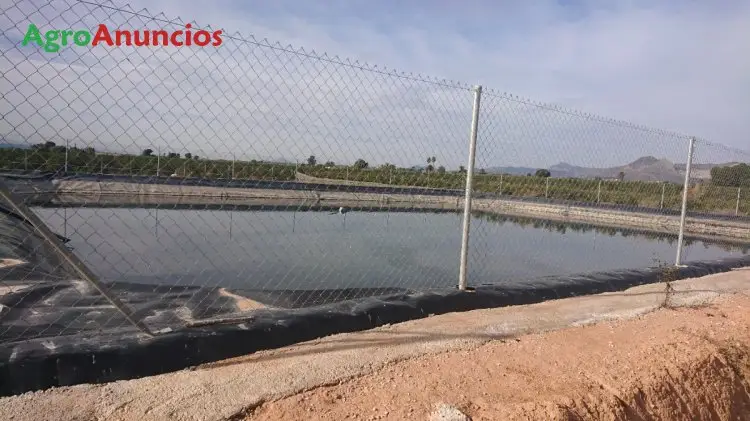 Alquiler  de Terreno de regadío en Alicante