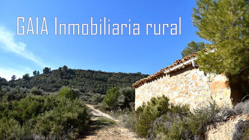 Finca Rustica con Olivos en Maella Zaragoza