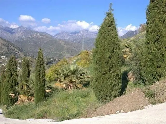 Terreno en Venta Competa - Parcela Rustica con Vistas