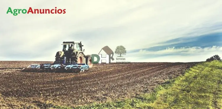 Venta  de Finca de regadío y labor en Toledo