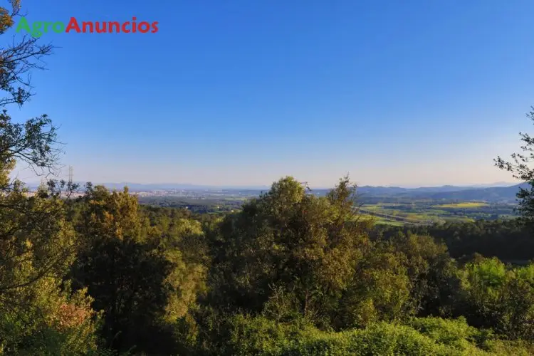 Venta  de Finca forestal con tres masías y ermita en Girona