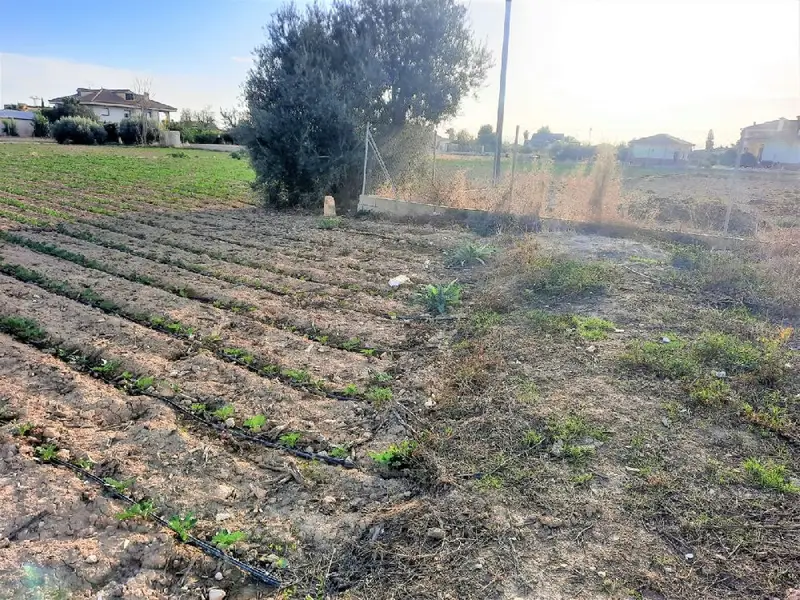 Venta Parcela en Cazalla Lorca 5850m2 Ideal Vivienda Unifamiliar
