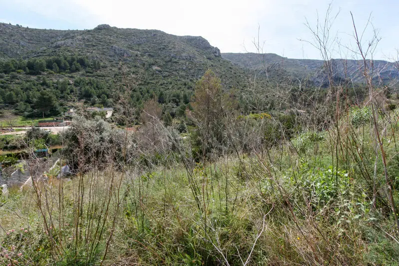 Parcela Urbana 1000m2 en Pedreguer Costa Blanca