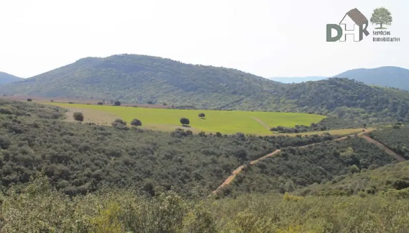 Venta Finca Caza Mayor Ciudad Real 1900 Hectareas