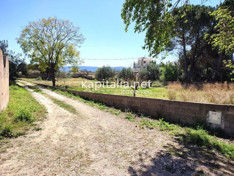 Venta Terreno en L'Alcúdia de Crespins 1492m2