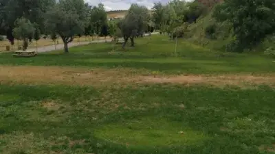 Finca Rustica en Venta 45 Hectareas Cortijo Rehabilitado