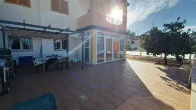 Apartamento en Alquiler Pilar de la Horadada  Planta Baja