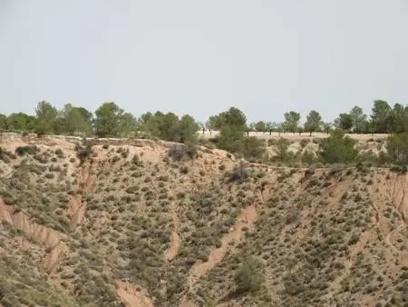 Terreno en Venta cerca de Mula Murcia