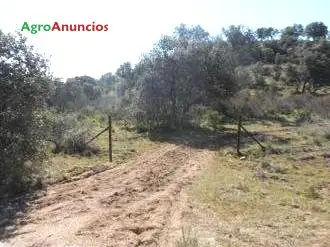 Venta  de Finca de secano y monte en Córdoba