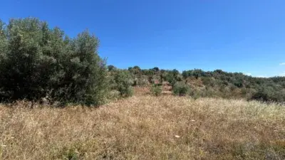 Finca rústica en venta en Camino del Cerro