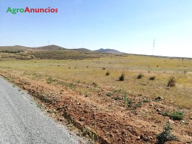 Venta  de Terreno a pie de autovía en Toledo