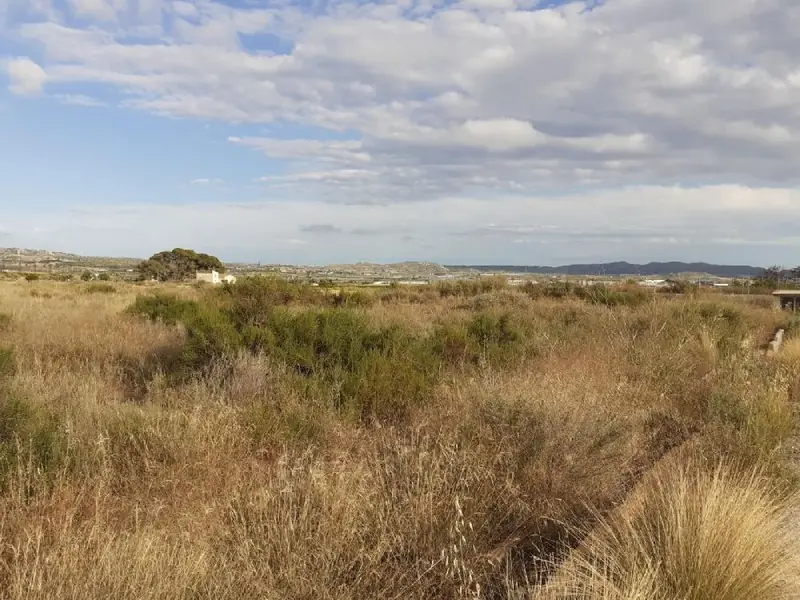 Venta Terreno Urbanizable Norias Monforte del Cid 15854m2