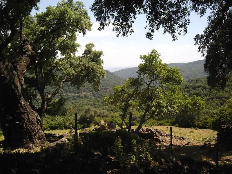 Terreno en Venta Estacion De Gaucin 300000m2 Vistas Panoramicas