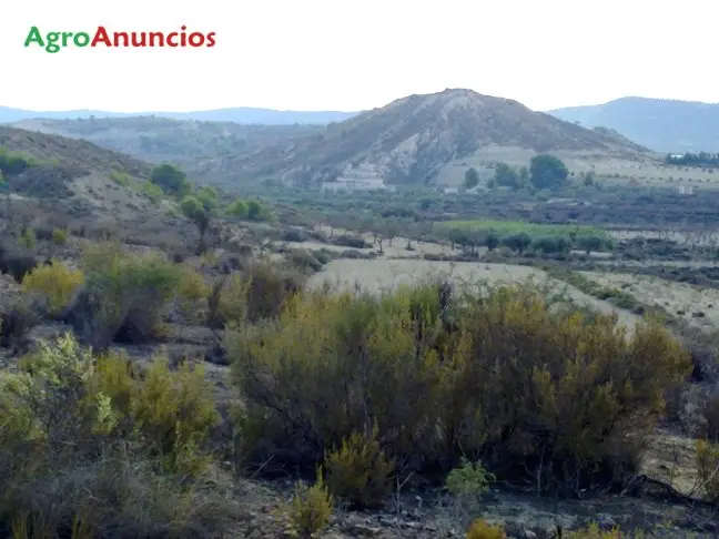 Venta  de Finca rústica en Murcia