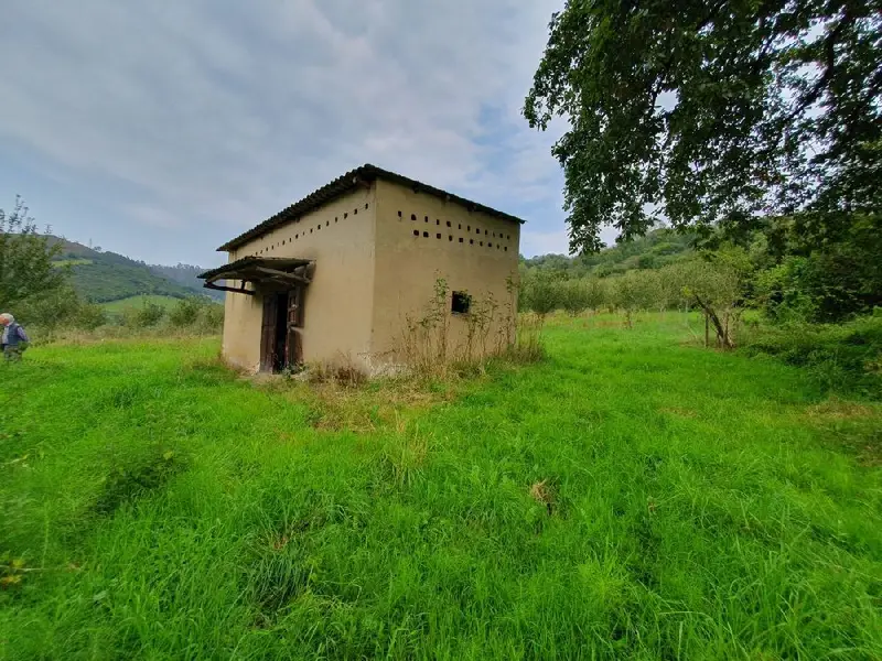 Venta Finca Grado 26035 Manzanos Produccion