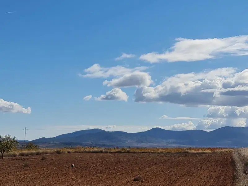 Terrenos en Venta en Yecla Murcia
