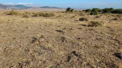 Finca rústica en alquiler en Tarifa La Peña