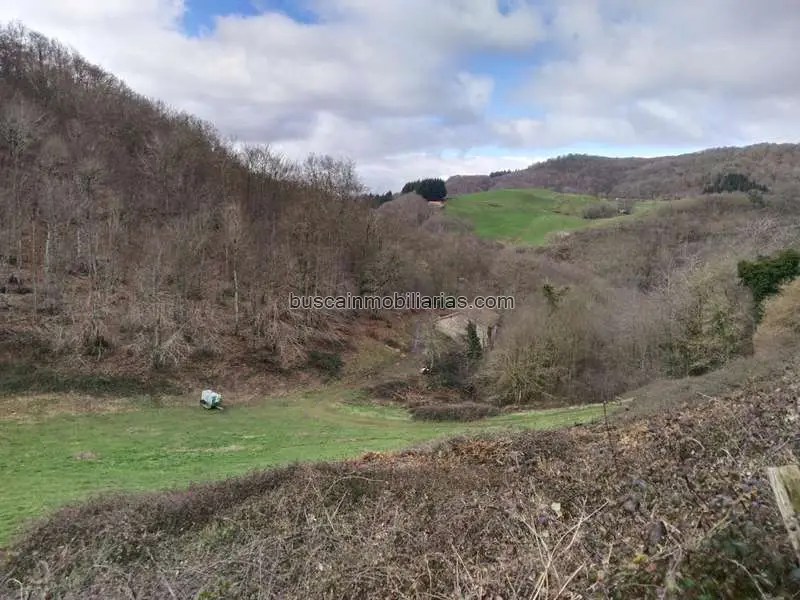 Parcela Rustica en Venta en Beruete Basaburua