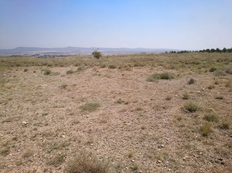 Venta Parcela en Cuesta Castilla Almansa