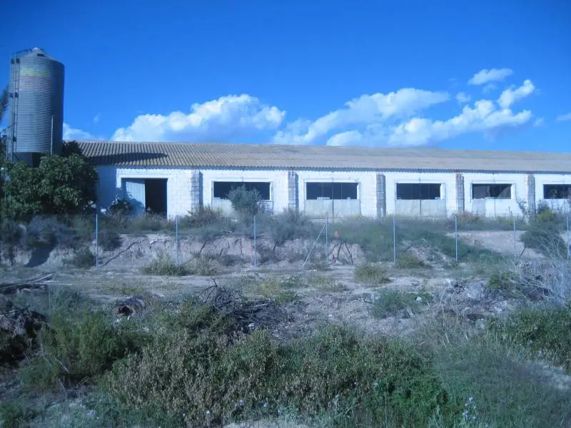 Solar Urbano con Nave en Almajalejo Huercal Overa