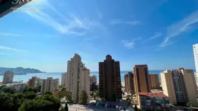 Alquiler Apartamento Platja de Ponent Benidorm