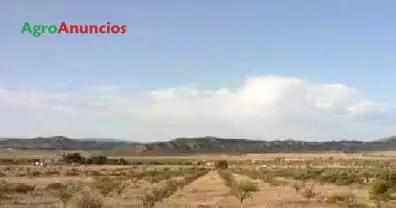 Venta  de Finca para recreo y vivienda de campo en Albacete