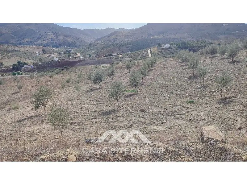 Venta Suelo Rustico Moheda Portales 37500m2