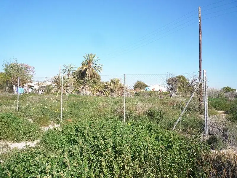 Venta Terreno Urbano Mutxamel 1500m2