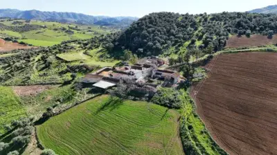 Finca rústica en venta en Calle Finca Cortijo Grande